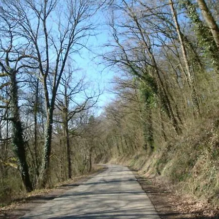 Le Poirier De Warre * Durbuy